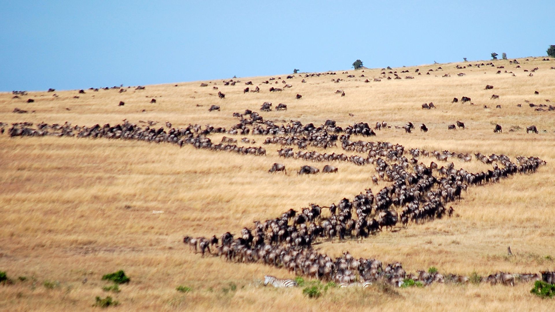 Where the migration actually is, month by month