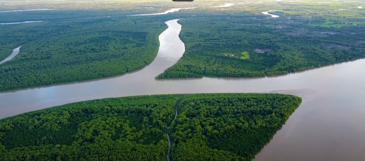 Rufiji and Nyerere: Tanzania’s river safari