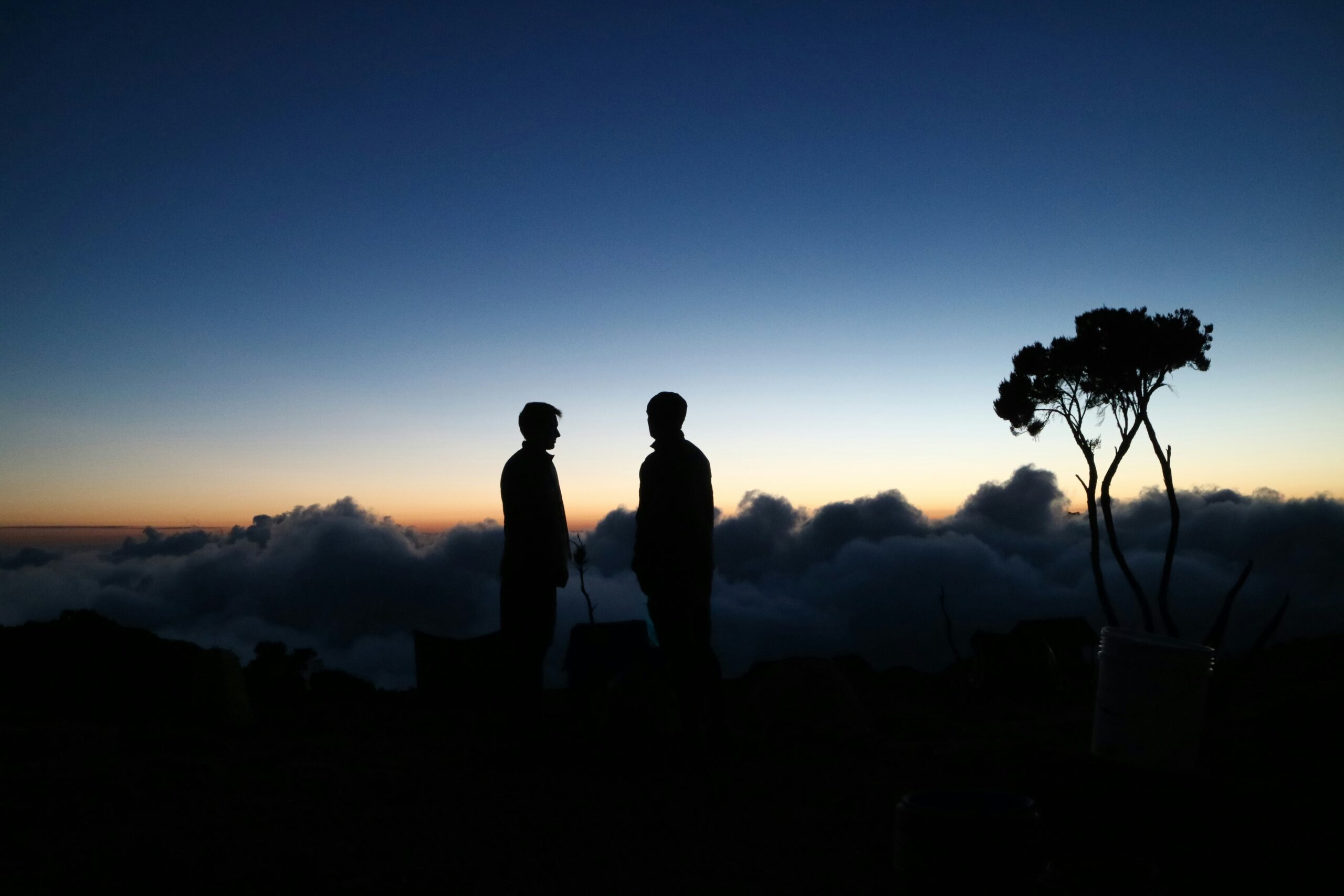How we choose guides, and what they earn