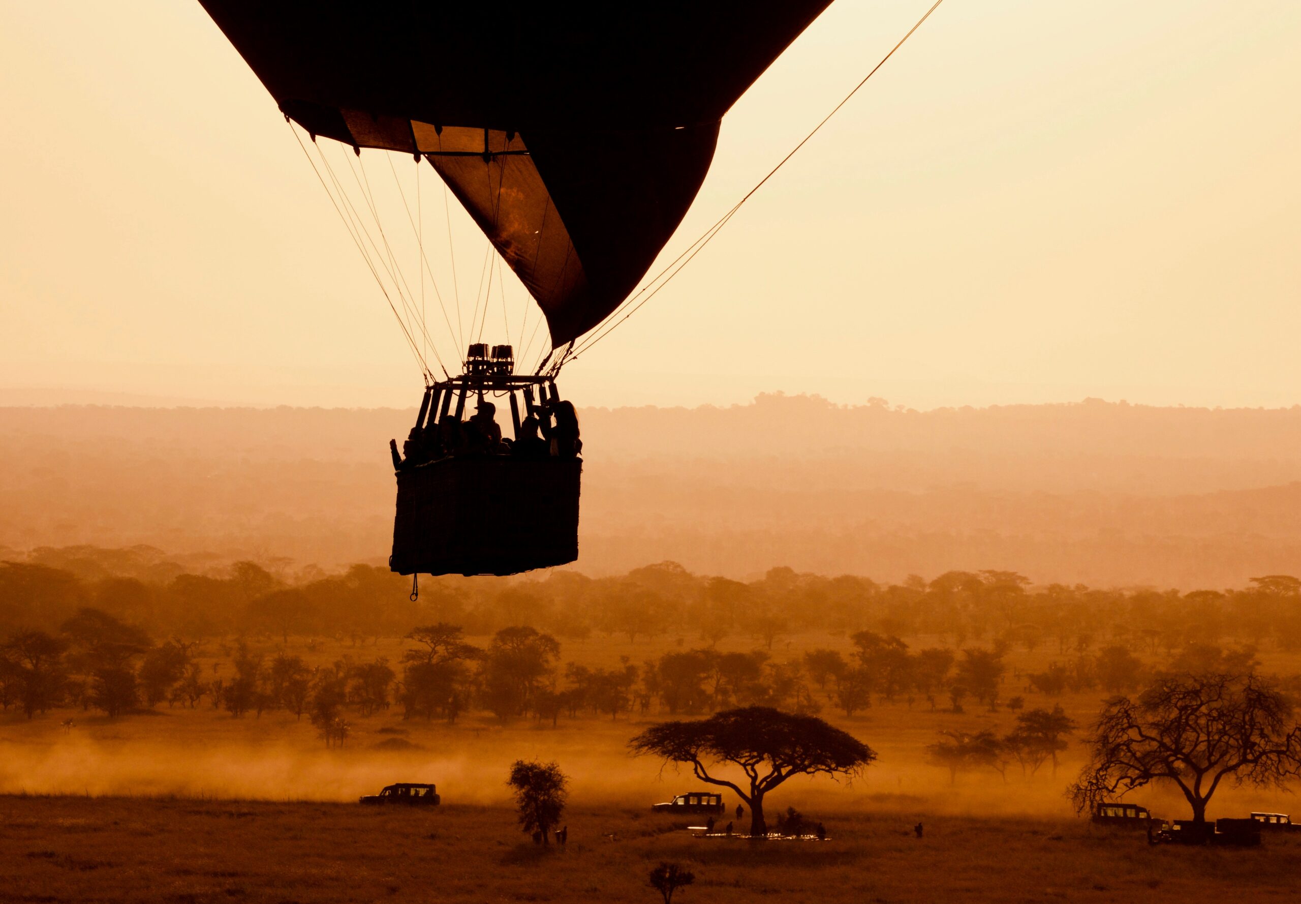 Family safari in Tanzania: ages, parks and what actually works